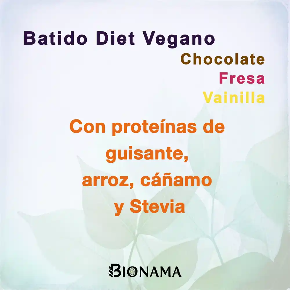 Ficha con propiedades de Batido Diet Vegano en polvo de Bionama.