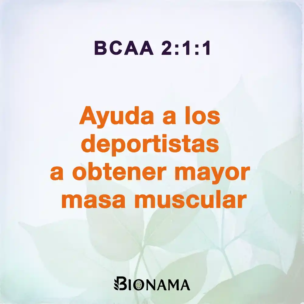 Ficha con propiedades de BCAA 2:1:1 en polvo de Bionama.