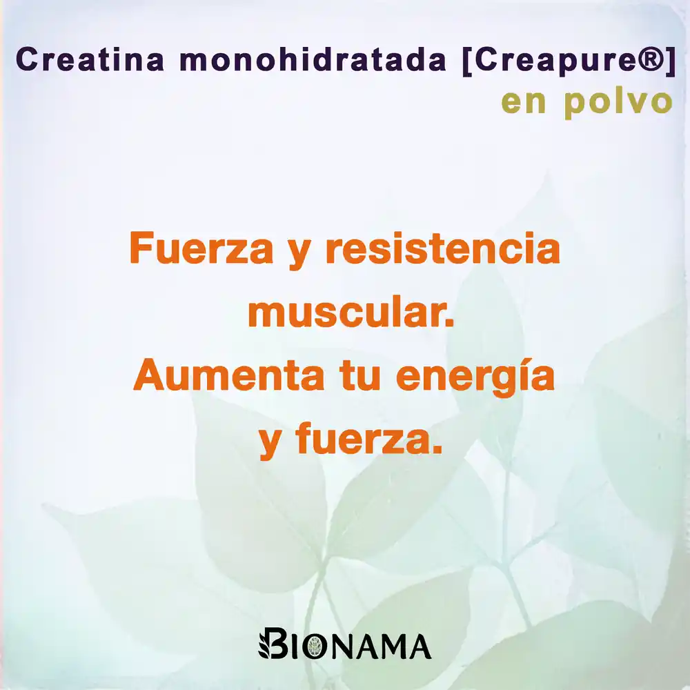 Ficha con propiedades de Creatina Monohidratada en polvo de Bionama.