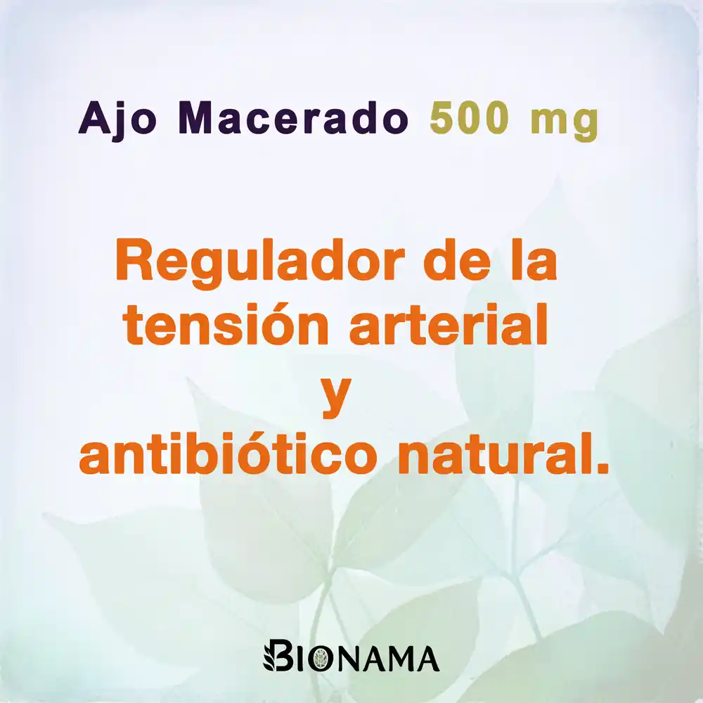 Ficha con propiedades de las perlas de Ajo Macerado 500 mg de Bionama.